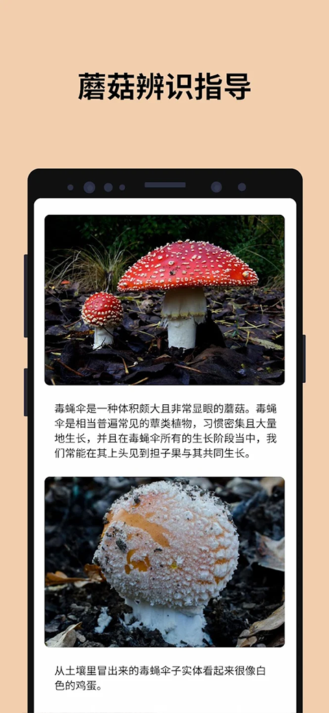 截图5